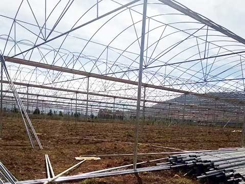 紅河州瀘西的李師，建造3600平方的蔬菜大棚。