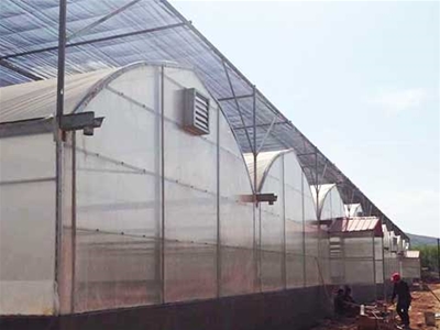 玉溪通海的范總，建造25000平方的鋼架大棚，種植蔬菜。